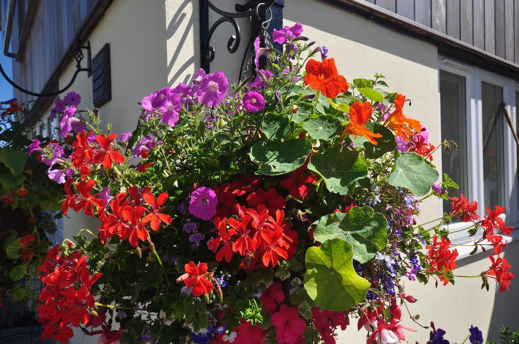 The Bosham B&B Esterno foto